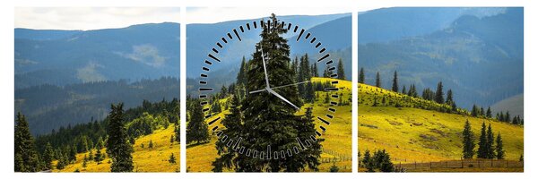 Tablou - Lunca de munte (cu ceas) (90x30 cm)