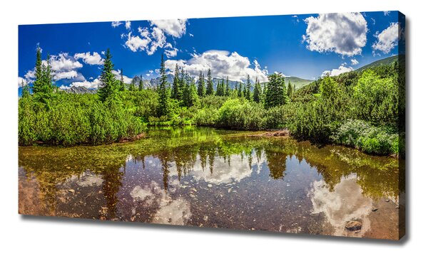 Tablou pe pânză canvas Lacul în pădure