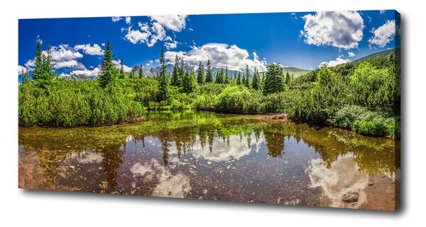 Tablou pe pânză canvas Lacul în pădure
