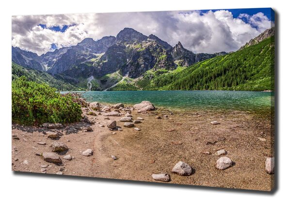 Tablou pe pânză Lacul în munți