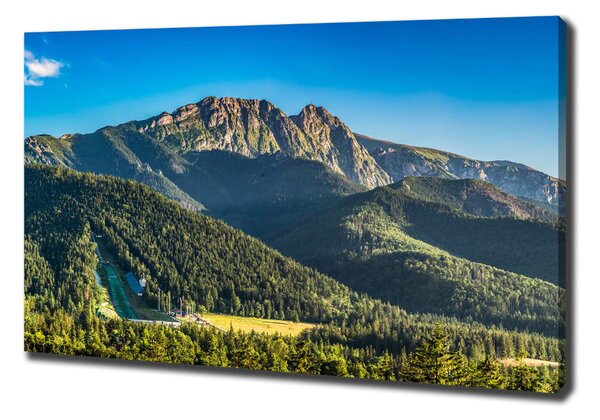 Tablou pe pânză canvas panorama Tatra