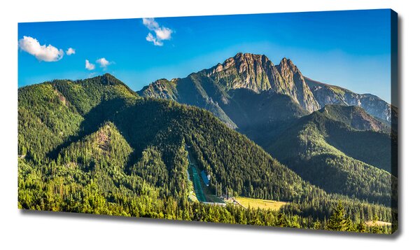 Tablou pe pânză canvas panorama Tatra
