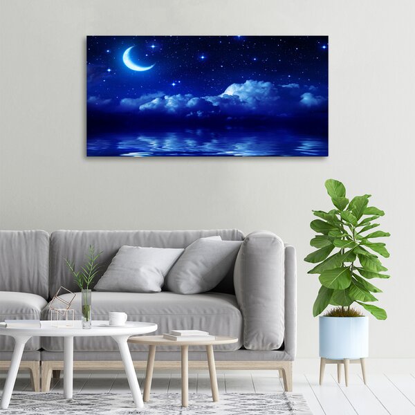 Tablou pe pânză canvas Cerul de noapte