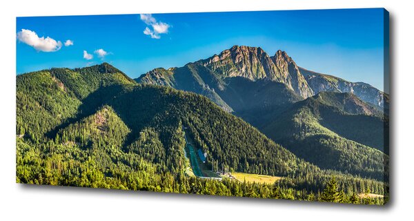 Tablou pe pânză canvas panorama Tatra