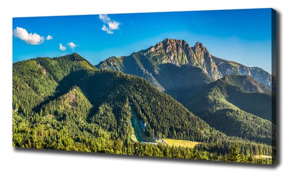 Tablou pe pânză canvas panorama Tatra