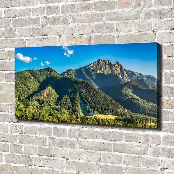 Tablou pe pânză canvas panorama Tatra
