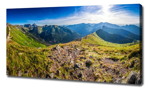Tablou canvas Panorama de munte