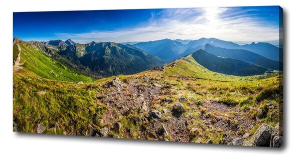 Tablou canvas Panorama de munte