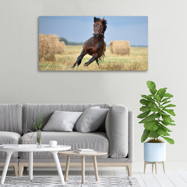 Tablou canvas Un cal în galop