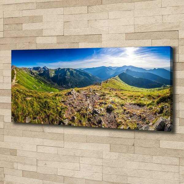 Tablou canvas Panorama de munte