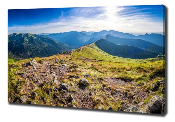 Tablou canvas Panorama de munte