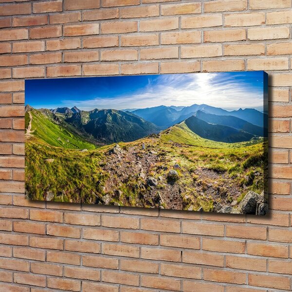 Tablou canvas Panorama de munte