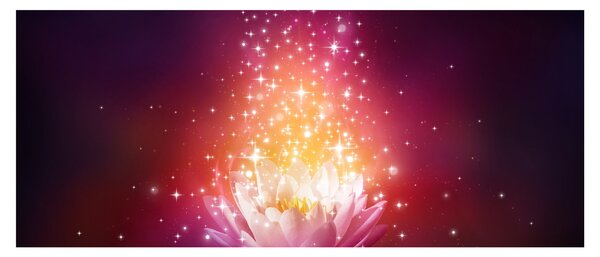 Tablou cu floare de lotus (120x50 cm)