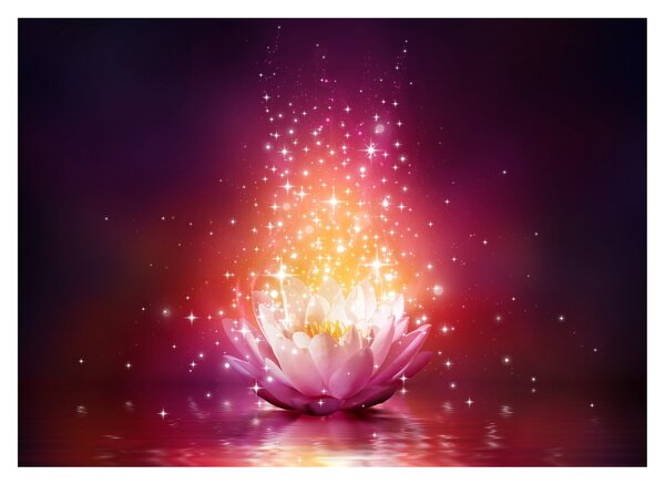 Tablou cu floare de lotus (70x50 cm)