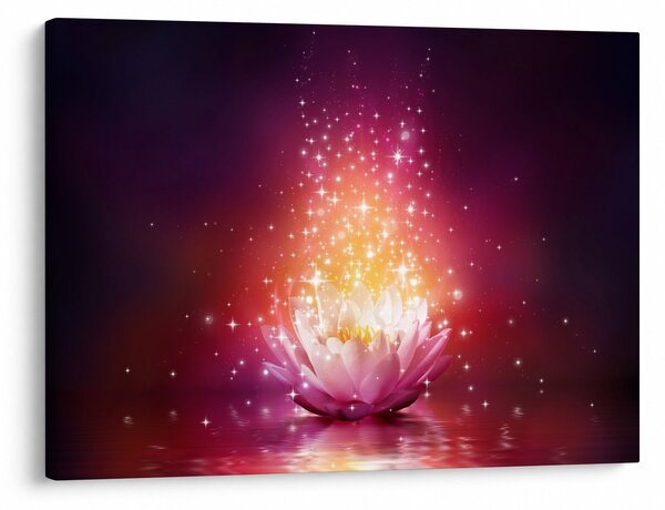 Tablou cu floare de lotus (70x50 cm)