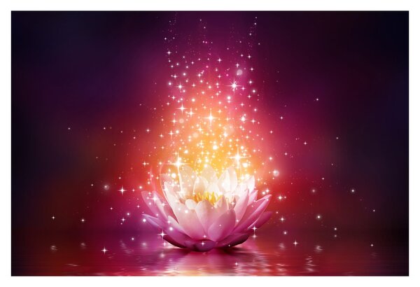 Tablou cu floare de lotus (90x60 cm)