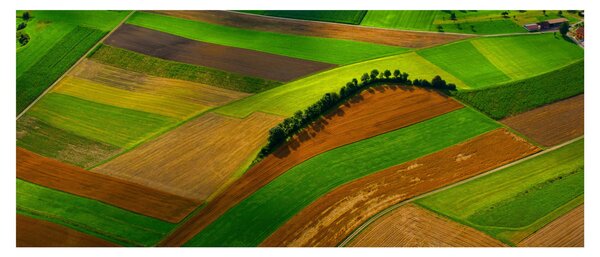 Tablou - Lan, luncile (120x50 cm)