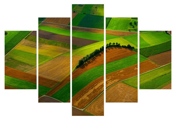 Tablou - Lan, luncile (150x105 cm)