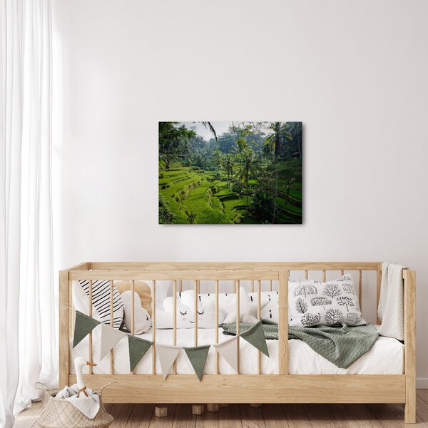 Tablou cu terasele cu orez Tegalalang, Bali (70x50 cm)