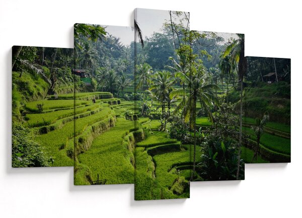 Tablou cu terasele cu orez Tegalalang, Bali (150x105 cm)