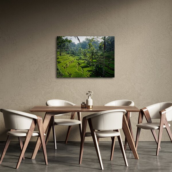 Tablou cu terasele cu orez Tegalalang, Bali (70x50 cm)