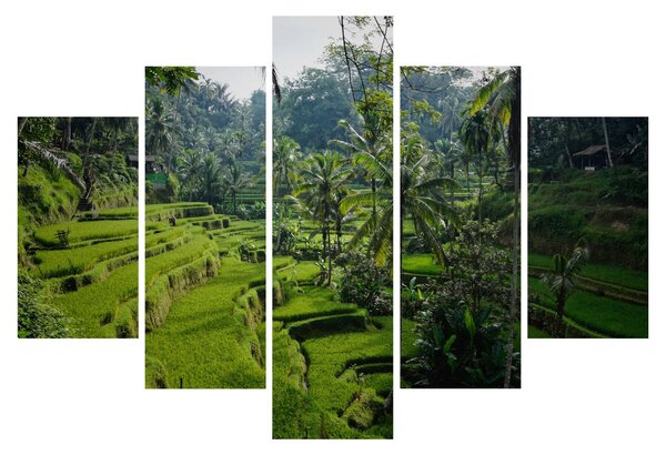 Tablou cu terasele cu orez Tegalalang, Bali (150x105 cm)