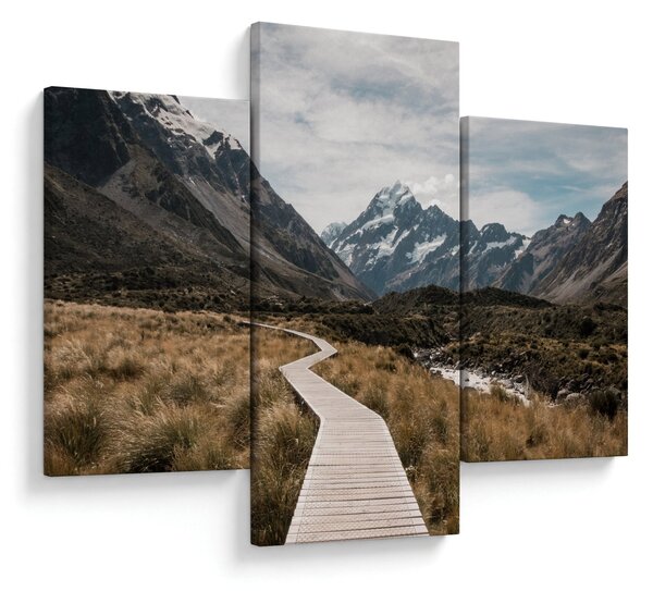 Tablou - Poteca în valea muntelui Mt. Cook (90x60 cm)