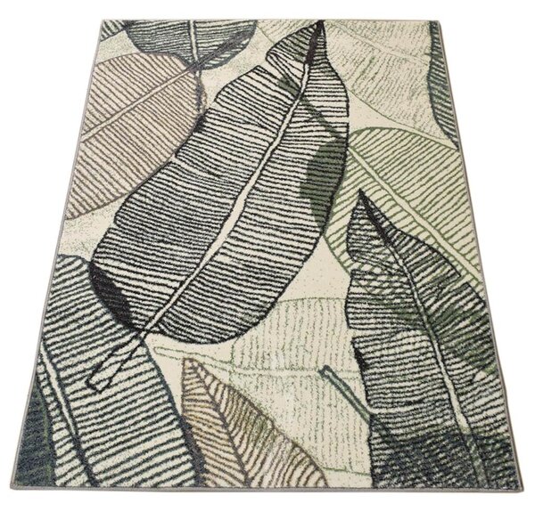 Covor Frunze 18101-130, Marime 120 x 170 cm, Multicolor, Inaltime Fir 8 mm, Antialergic, Polipropilena, Living, Dormitor, Sufragerie, Birou 120 x 170
