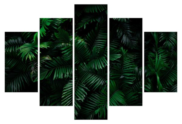 Tablou - Păpădii tropicale (150x105 cm)