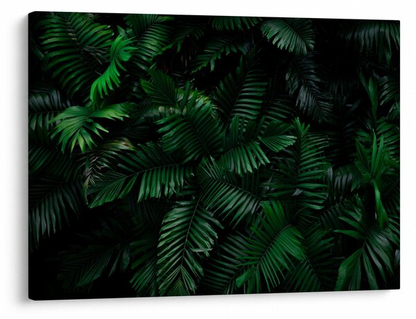 Tablou - Păpădii tropicale (70x50 cm)