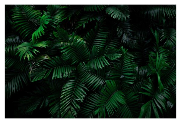 Tablou - Păpădii tropicale (90x60 cm)