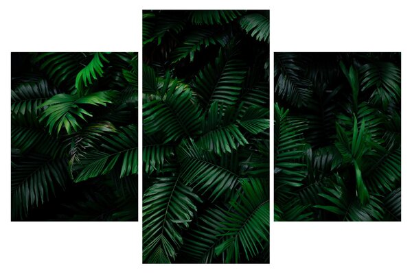 Tablou - Păpădii tropicale (90x60 cm)