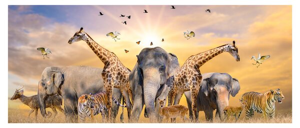 Tablou - Animae din Africa (120x50 cm)