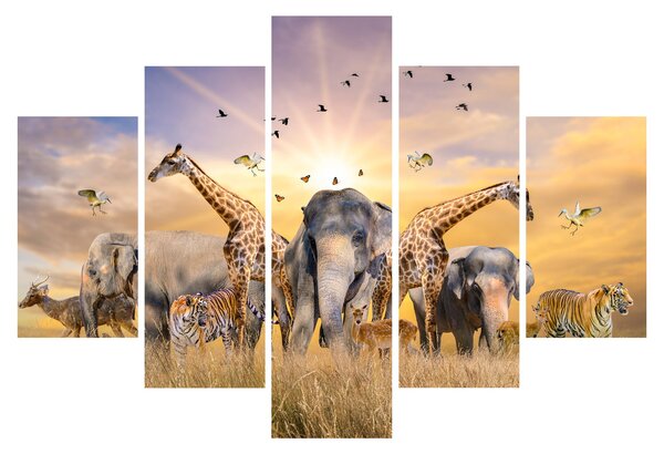 Tablou - Animae din Africa (150x105 cm)