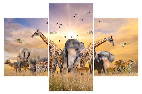 Tablou - Animae din Africa (90x60 cm)