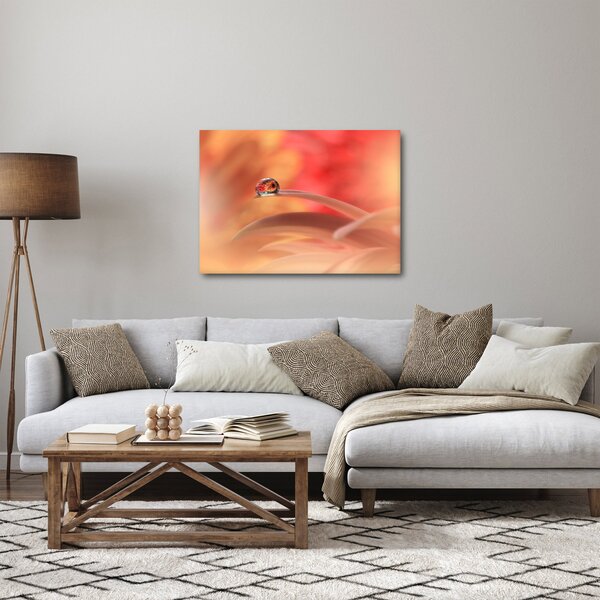 Tablou picăturii de rouă pe floare (70x50 cm)