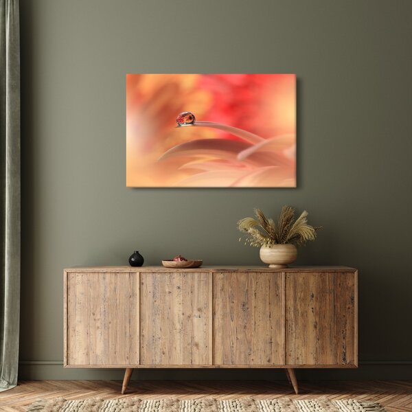 Tablou picăturii de rouă pe floare (90x60 cm)