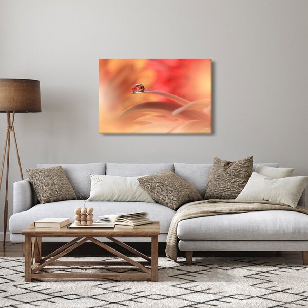 Tablou picăturii de rouă pe floare (90x60 cm)