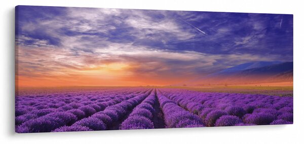 Tablou câmpului cu lavandă (120x50 cm)