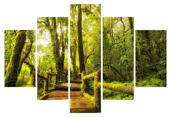 Tablou junglei cu mușchi (150x105 cm)