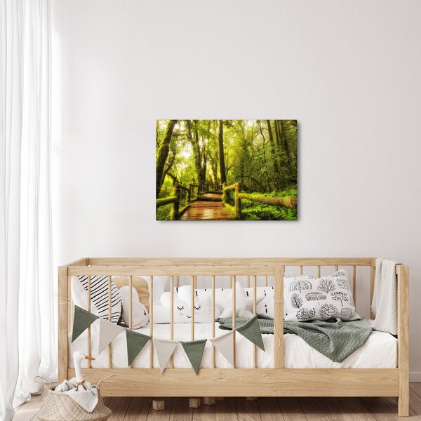Tablou junglei cu mușchi (70x50 cm)