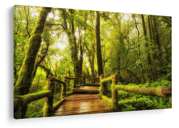 Tablou junglei cu mușchi (90x60 cm)