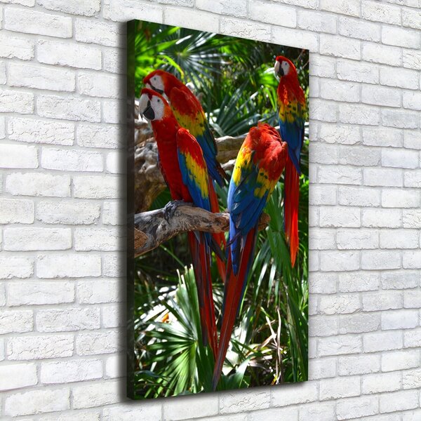 Tablouri tipărite pe pânză papagali Macaws