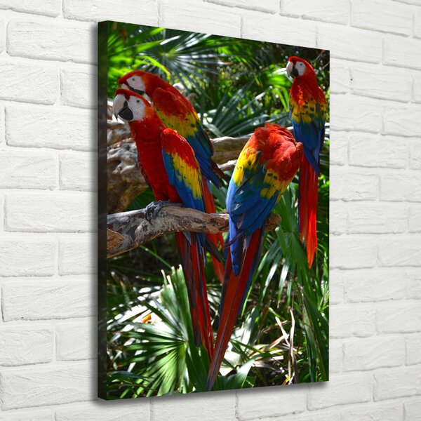 Tablouri tipărite pe pânză papagali Macaws