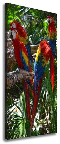 Tablouri tipărite pe pânză papagali Macaws
