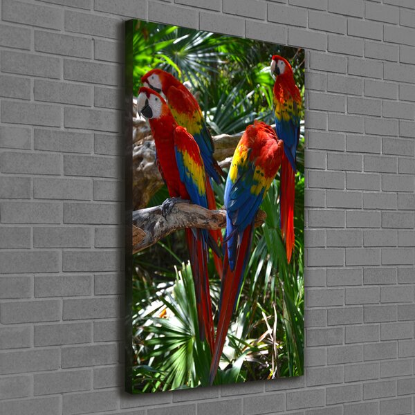 Tablouri tipărite pe pânză papagali Macaws