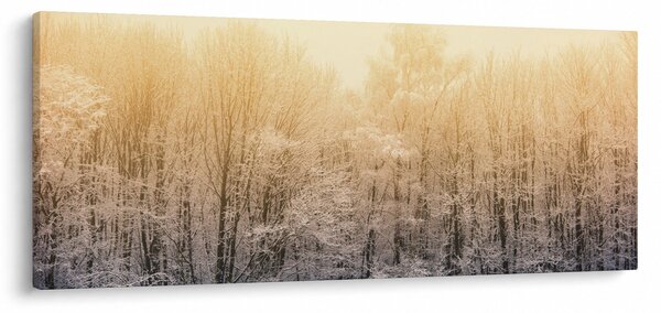 Tablou cu pădure geroasă (120x50 cm)