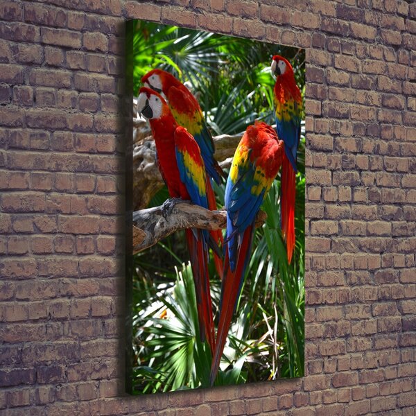 Tablouri tipărite pe pânză papagali Macaws