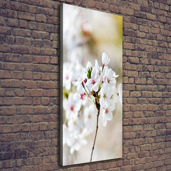 Imprimare tablou canvas flori de cireș