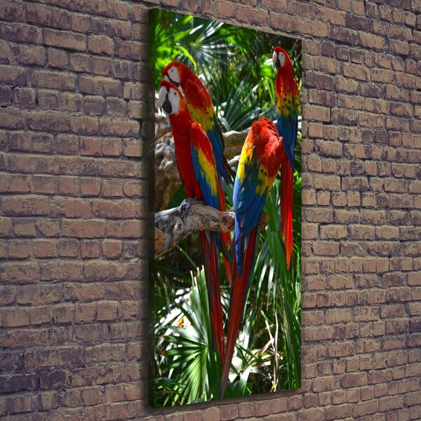 Tablouri tipărite pe pânză papagali Macaws